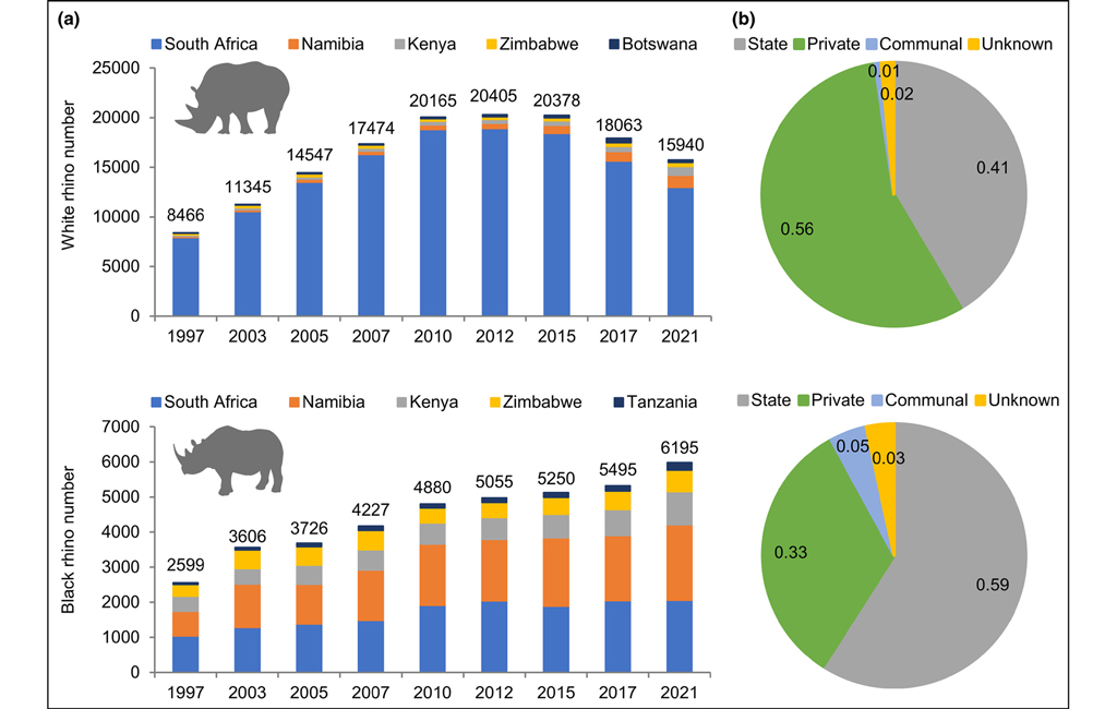 Graph showing the white and black rhino populations between private reserves and state reserves across Southern Africa in 2021.